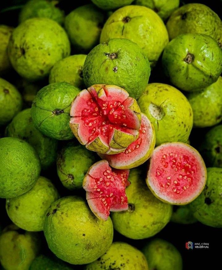  Guava